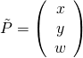 \tilde{P} = \left(\begin{array}{c} x \0& y \0& w \end{array}\right)